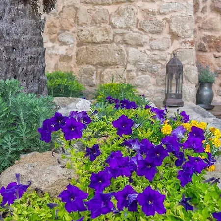 Trinity Boutique 3* עיר רודוס