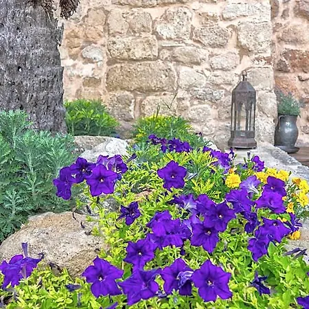 מלון Trinity Boutique