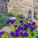Trinity Boutique 3* Rhodes City