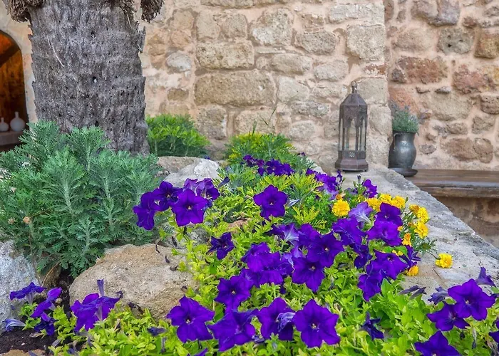 Trinity Boutique 3* Rhodes City